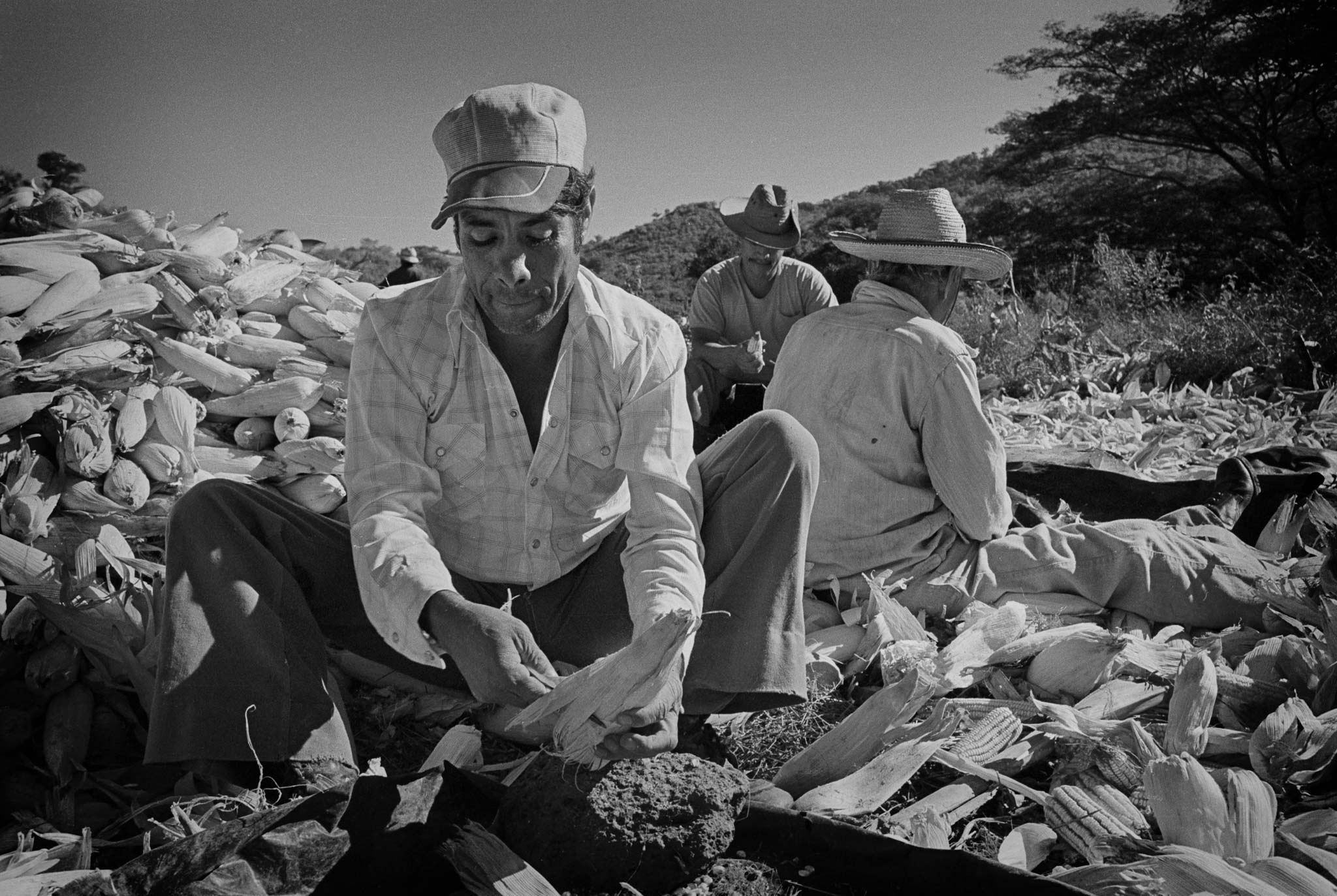 nica81_17-43-DUP.jpg